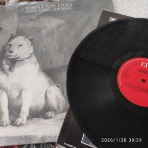 Pavlov's Dog Pampered Menial 1975 ,At the Sound of the Bell 1976 Holland. ���������� ���������� ������� � ������������� �����������,�������� �� �������������� ����� ��� ��������, � ���������� � ������������� ��������� ���� ������. ����� ����� �����������,��������� � ����...� ���������,� ��� ����� �������������, � ��� ��� ���������� ��������� ������������ � �� ����������( ���� �� ������� ���������� � ���������). ���� ��: ���� ������ ��� ����������� ����� ���������... ���� �������� Rush ( ��� ��������), �� ����� �� ���,���� ���, �����...🤔 �� ��� ������,������ ������ ���� ��������� �������, �� � ������ ������  �����...