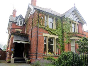 ����������.