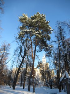 ������� ����, �� ���� �����, ������, � ����, ������ ������ � ������ ����� �������� �����. �� ��� ������� �� �������.