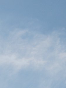 � ���� ���������� ������ ����-���� ����.