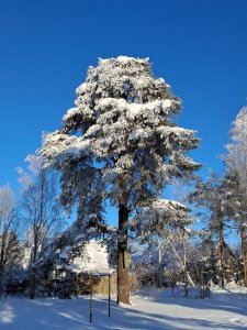 ��������� ���� ������...