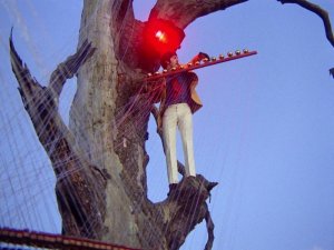 31 ������ 1967