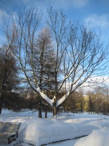 ��� �������������� ��� ��.