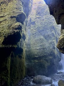 ���� ��������� (��� ���� ����������-����������������)