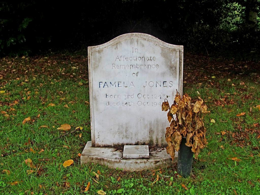 The Rolling Stones Family: Brian Jones' Lonely Hearts Club