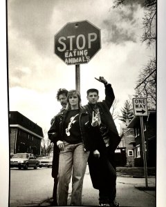 ��� ��������� ������: Civic Arena, ���������