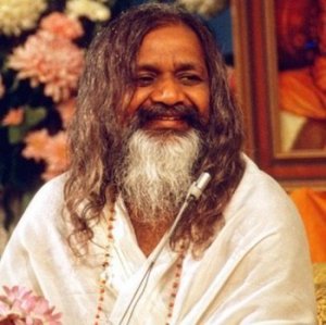 5 ������� 2008 �������� ����� ������� � Vlodrop, �������, ����������. ��� ���� 90.