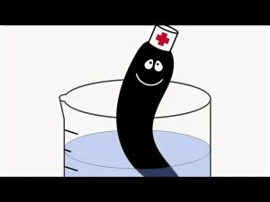 ������� �������� 