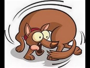 ��, ��� � ���! 