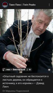 ������, �� ������ ���� ����� ����� �����������))