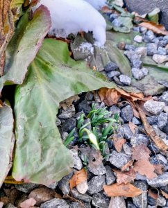 ����� ����� ����� ����, � ������� ����������.