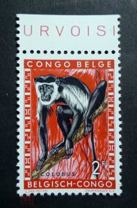 ������� ���� ��� ������ �����