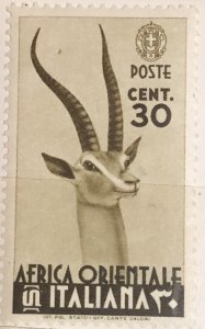 ���� ����� �������� �����