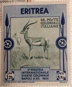 ���� �����