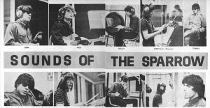https://en.wikipedia.org/wiki/The_Sparrows_(band)