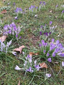  ��� ������ ��������?