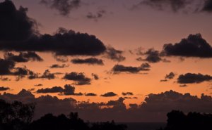  ��� ������ ��������?