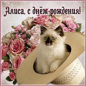 Alisa5White!!! ����� ����: ��� �� ����, ������������ ������!!!