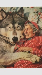 ������� ���� ��������� �� ���� ���������� �����������...