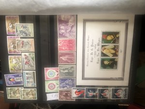 ���������. �����. ��������. �������������