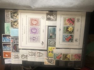 ���������. �����. ��������. �������������