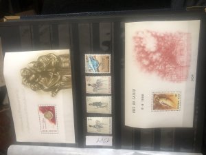 ���������. �����. ��������. �������������