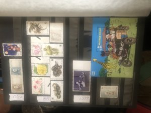 ���������. �����. ��������. �������������