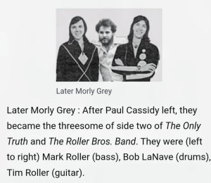 Mark � Tim Roller - Morly Grey 