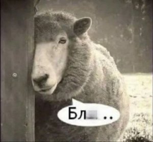 �� ����� �� ���, �������, ��� �������� ������ ����