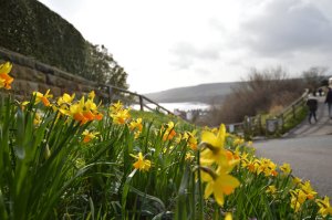 Happy 1st March, the first day of spring!