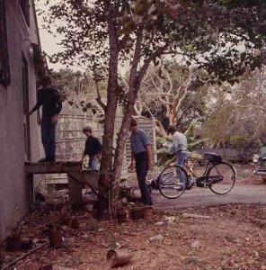 ������: Help!, ������