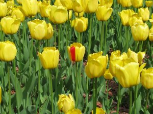 ������������� � �������������.