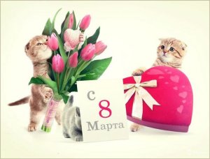 8 �����!!!