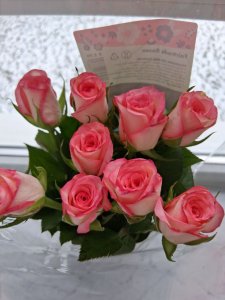 ���������� ������ �������� ������������ � ���������� 8 ����� !