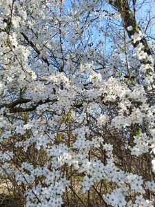 �������� ���, +18 