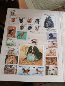 ���������. �����. ��������. �������������