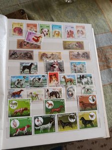 ���������. �����. ��������. �������������