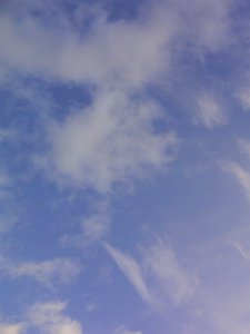 �� 05.09.2012, ������ �� ���� ���.