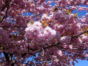  ��� ������ ��������?