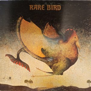 ��� �����