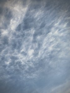 ��������� ����, 14.03.2026.