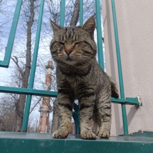 �� ������? ��� ���? 