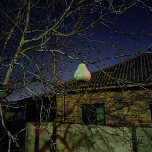 ���������� ����������� ����� � ����