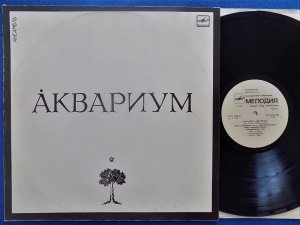 ����� ������ �������?