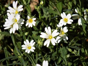  ��� ������ ��������?