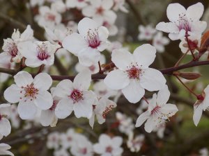  ��� ������ ��������?