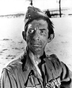 ���� ���������