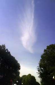 ������������ � ���������� � Hugin ������ ���������� ������ ����������,  ��� ������������ ���������� � ����� ��������. 