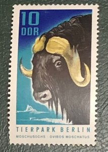 �� ������ ���� ������ �� ���� ���������� ��� ����� ������� �� ����� � ������ ������������ ���������)))))))) 1970 ���� ����� 55 ��� � ��� � ����� ��������� ��� ����� ���� ������