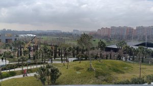  ��� ������ ��������?